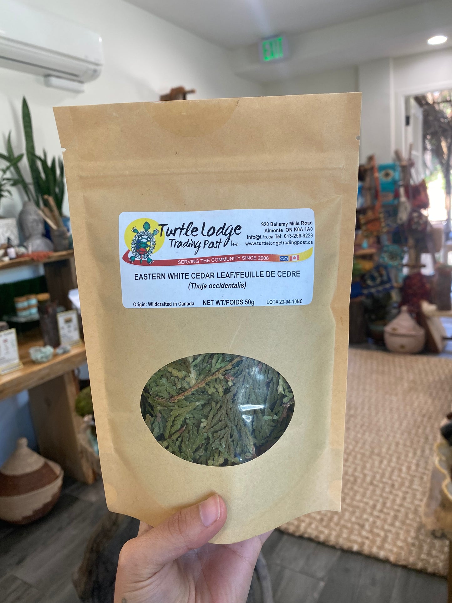 Eastern White Cedar Leaf Tea