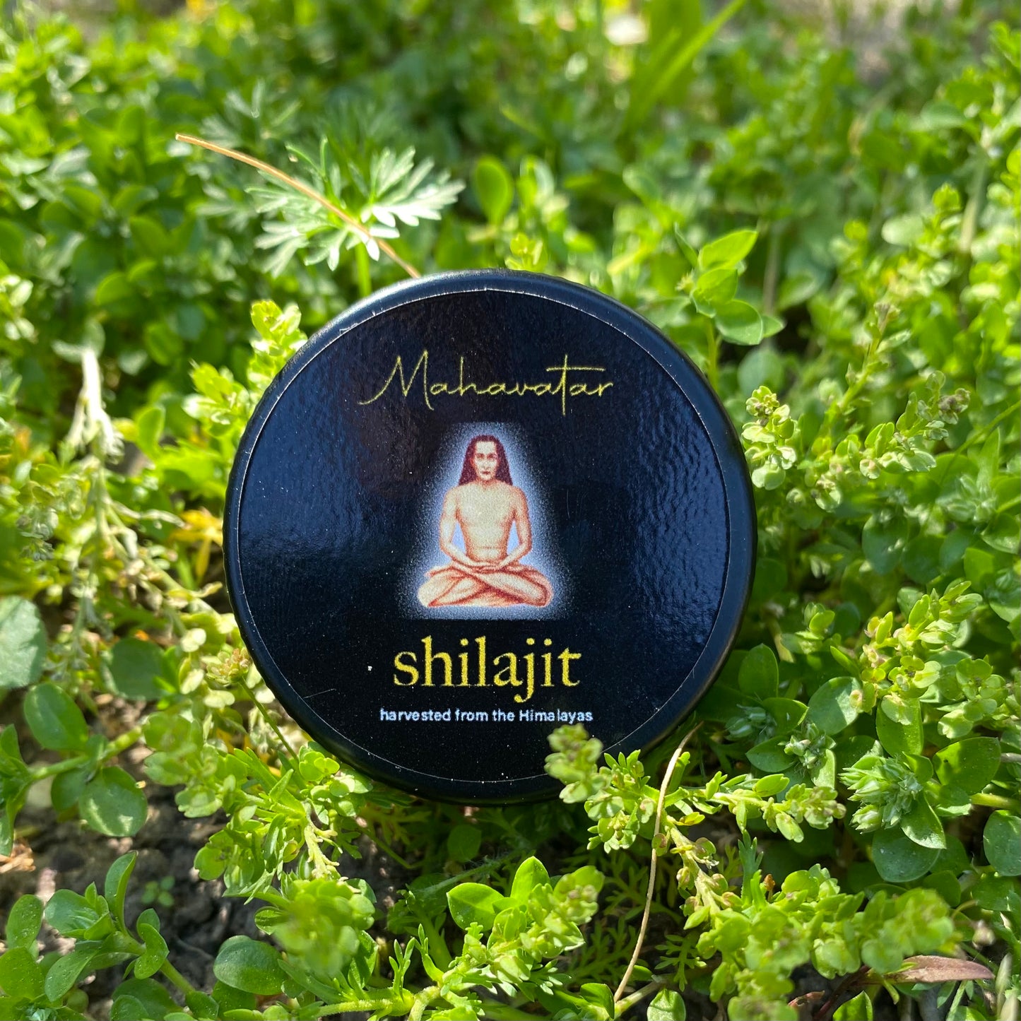 Shilajit