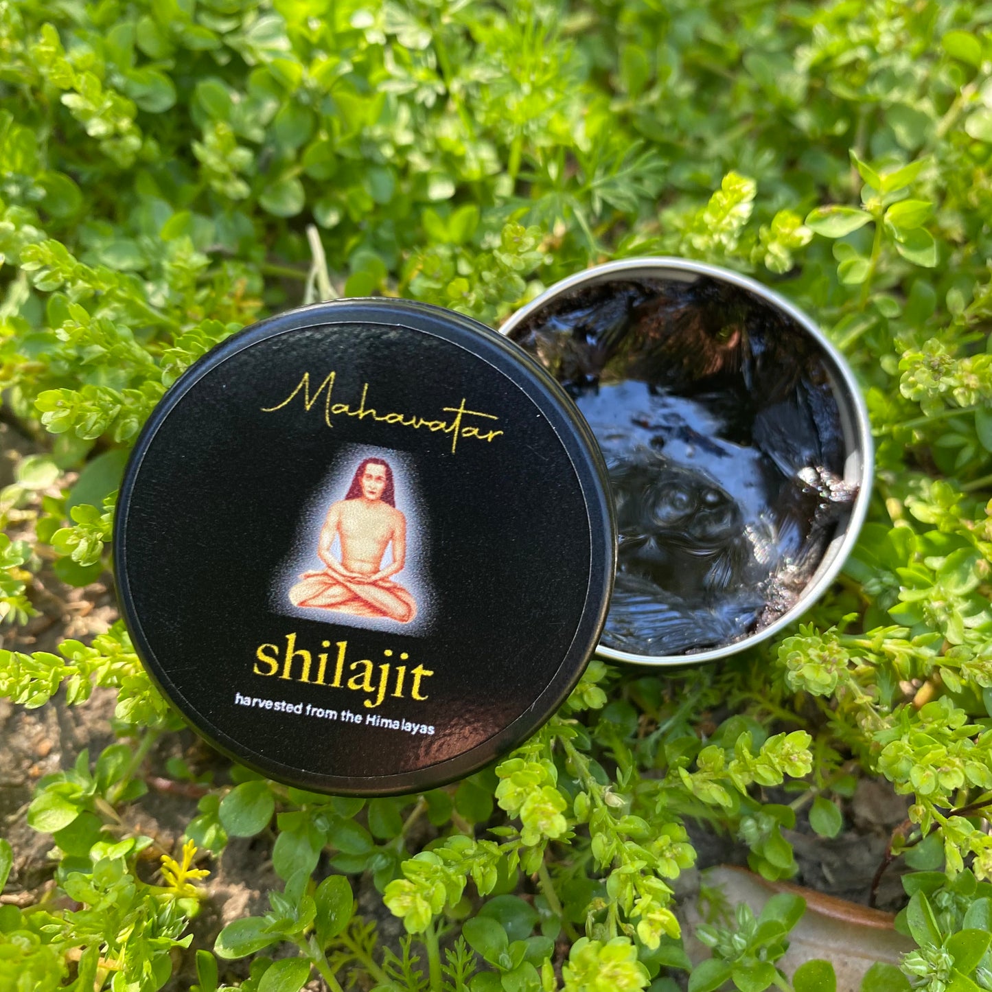 Shilajit