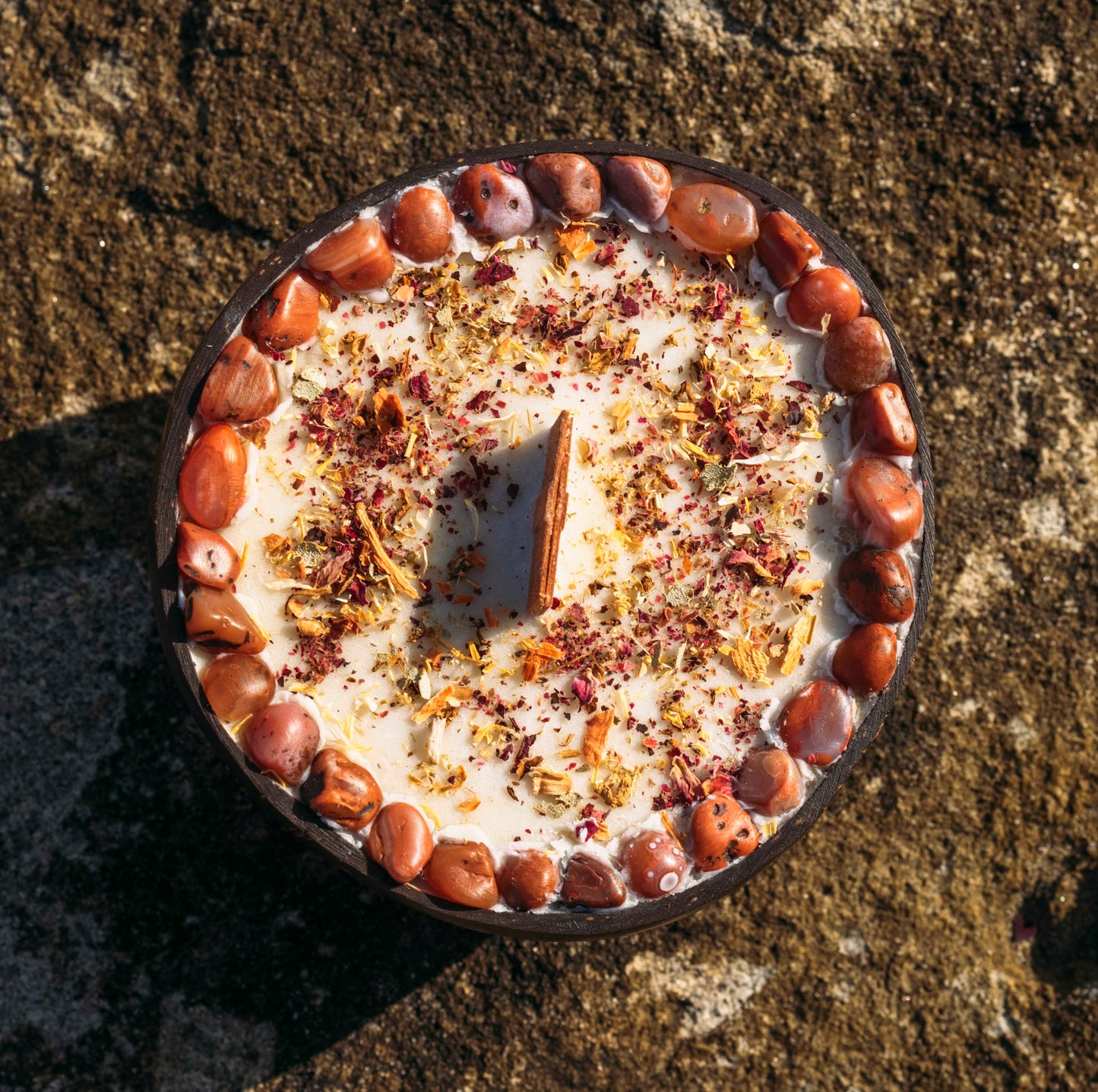 Cinnamon Shea Butter Coconut Candle