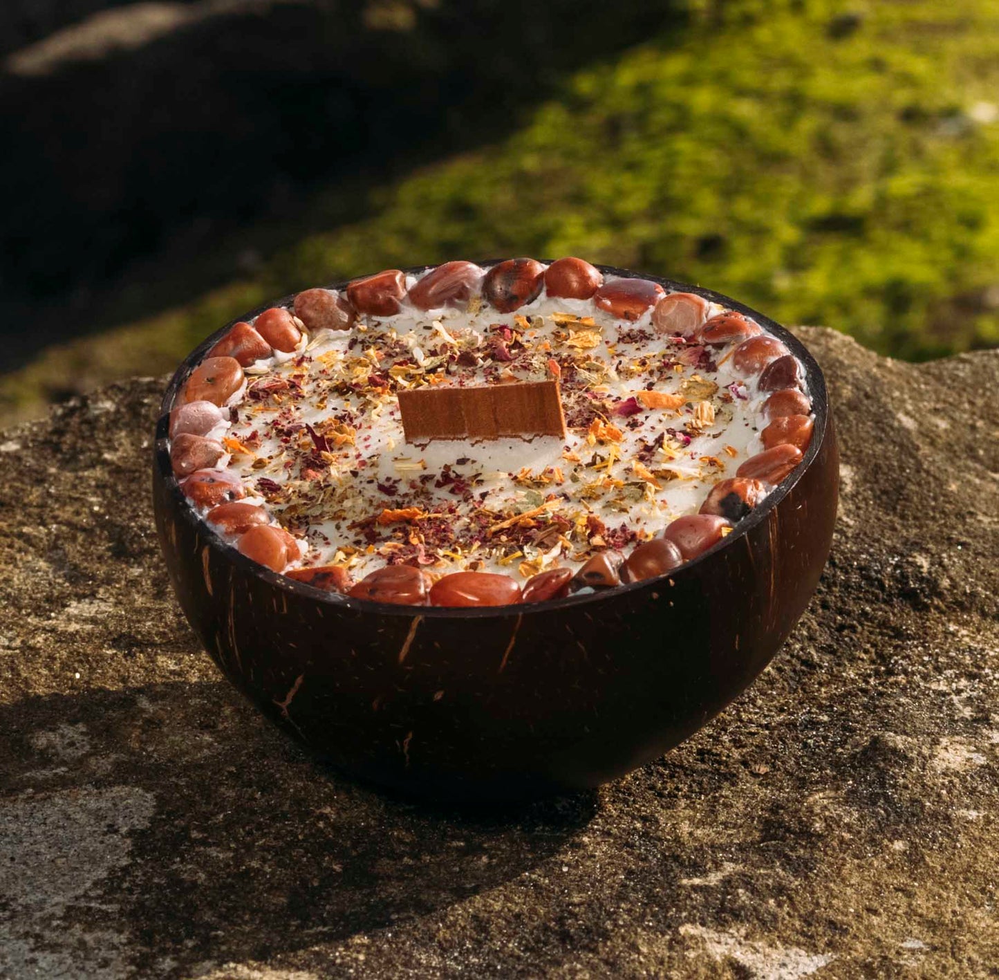 Cinnamon Shea Butter Coconut Candle