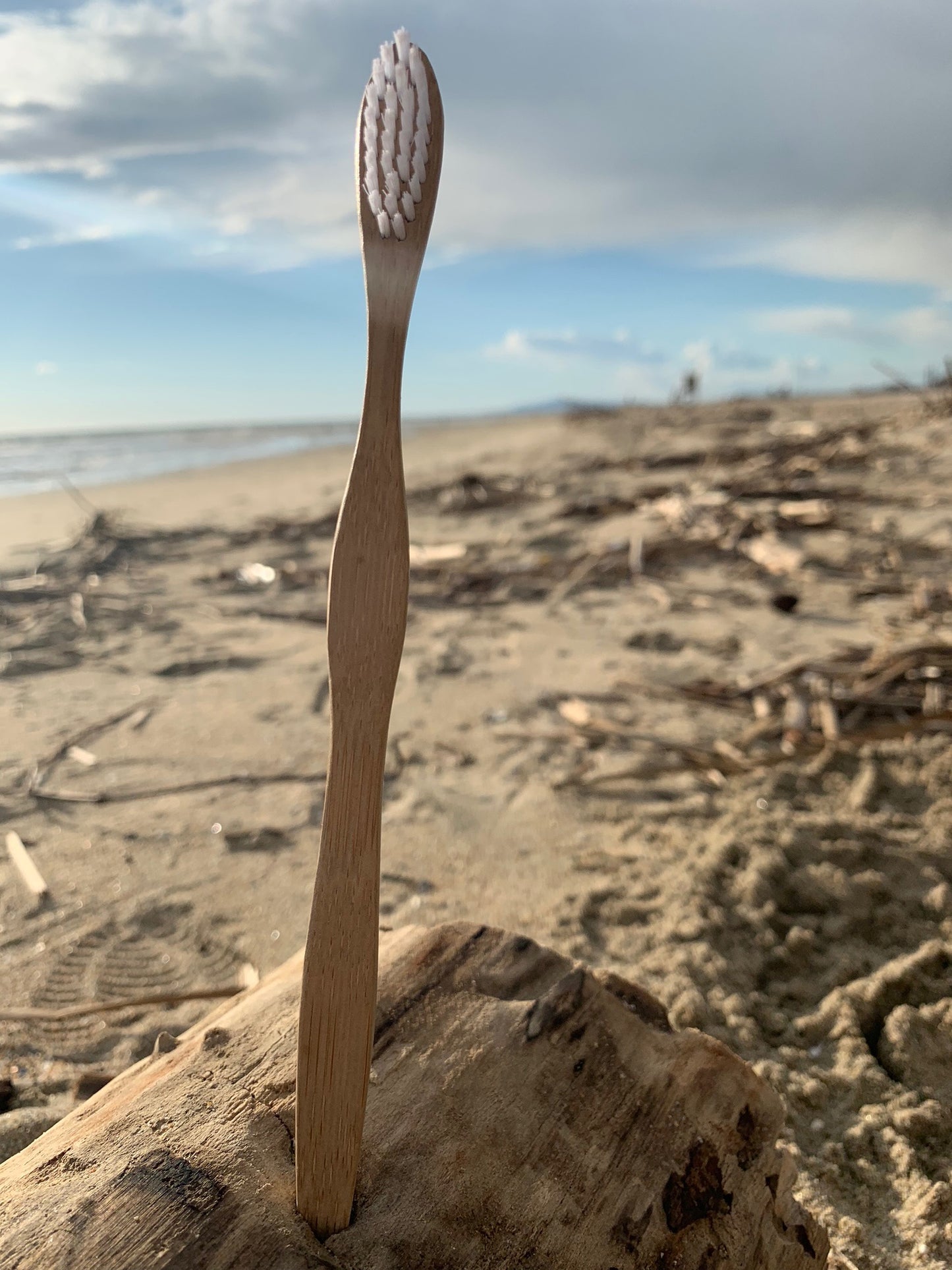 Bamboo Biodegrable Toothbrush