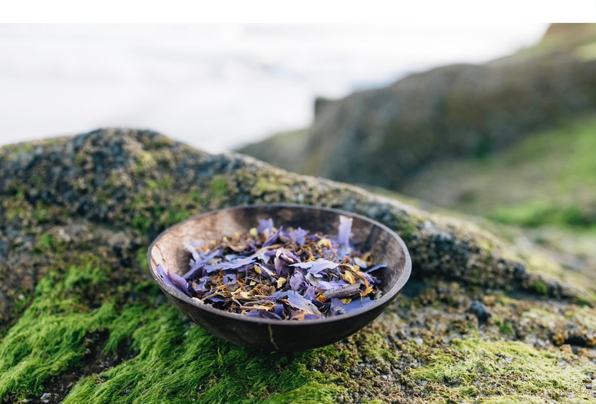 Blue Lotus Flower Tea
