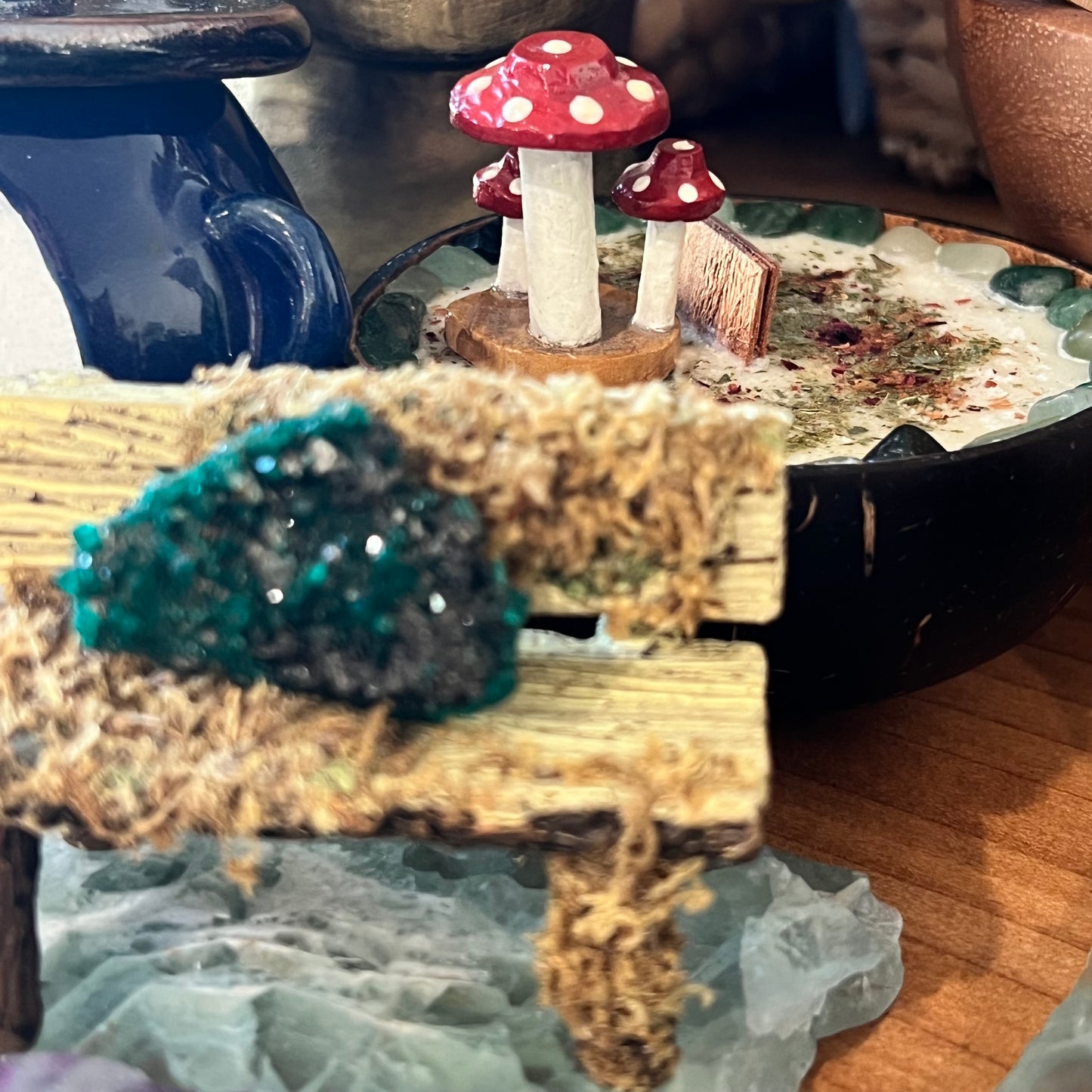 Mini Red Mushrooms from Guatemala