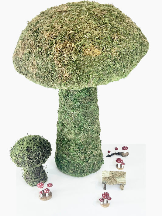 Moss Mushrooms