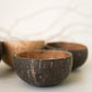 Coconut Shell Bowls