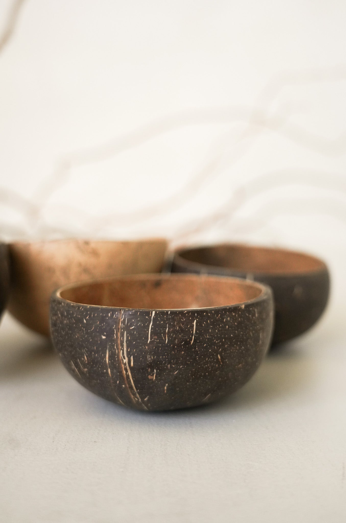 Coconut Shell Bowls