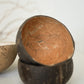 Coconut Shell Bowls