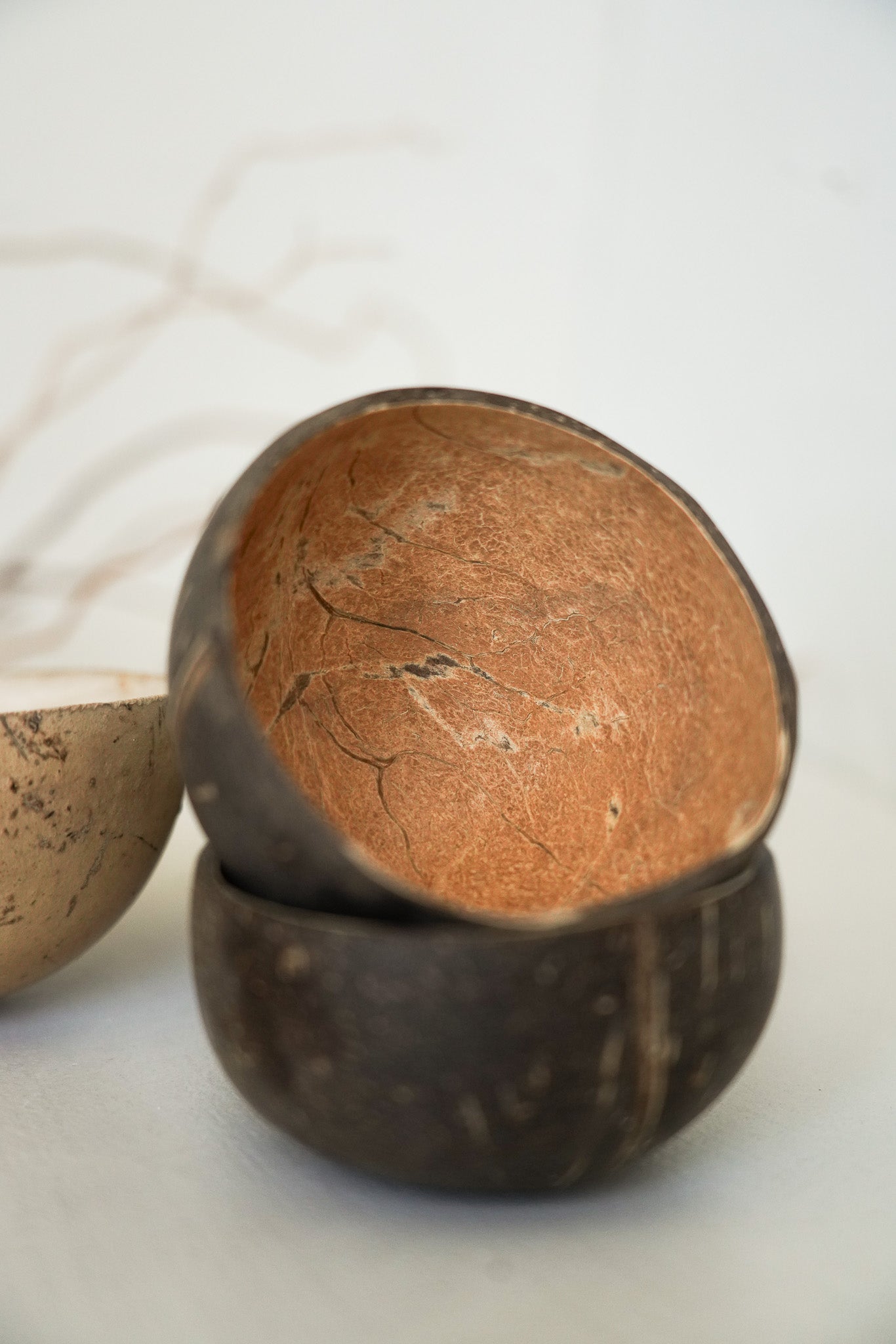 Coconut Shell Bowls