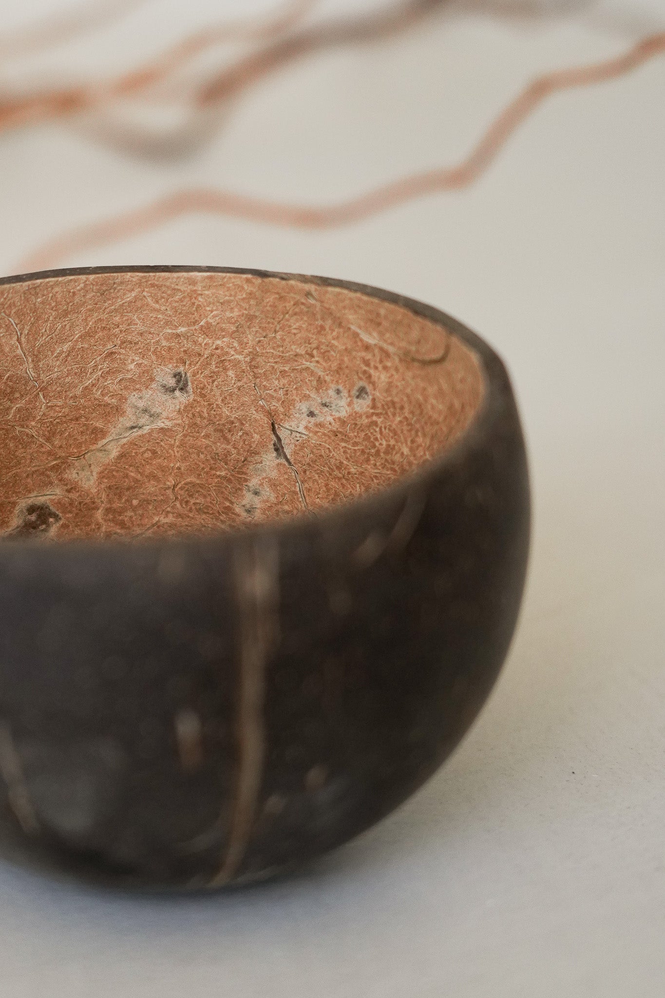 Coconut Shell Bowls