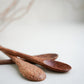 Coconut Shell Spoon