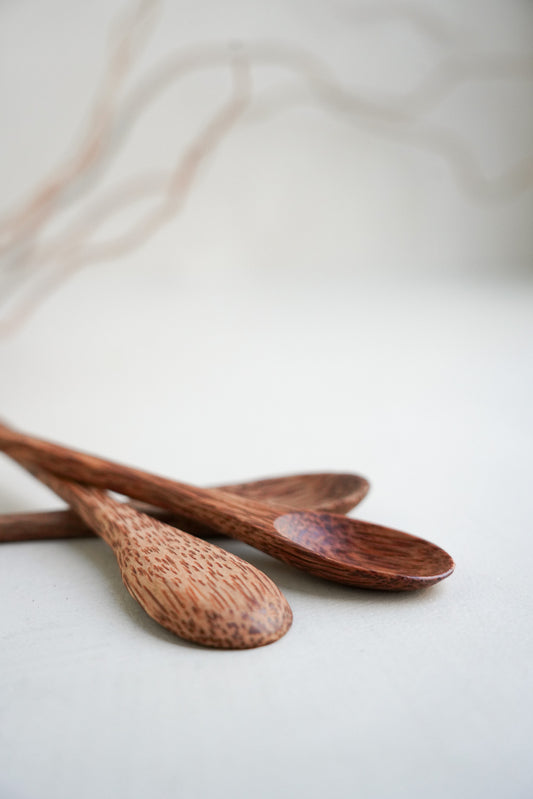 Coconut Shell Spoon