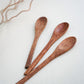 Coconut Shell Spoon