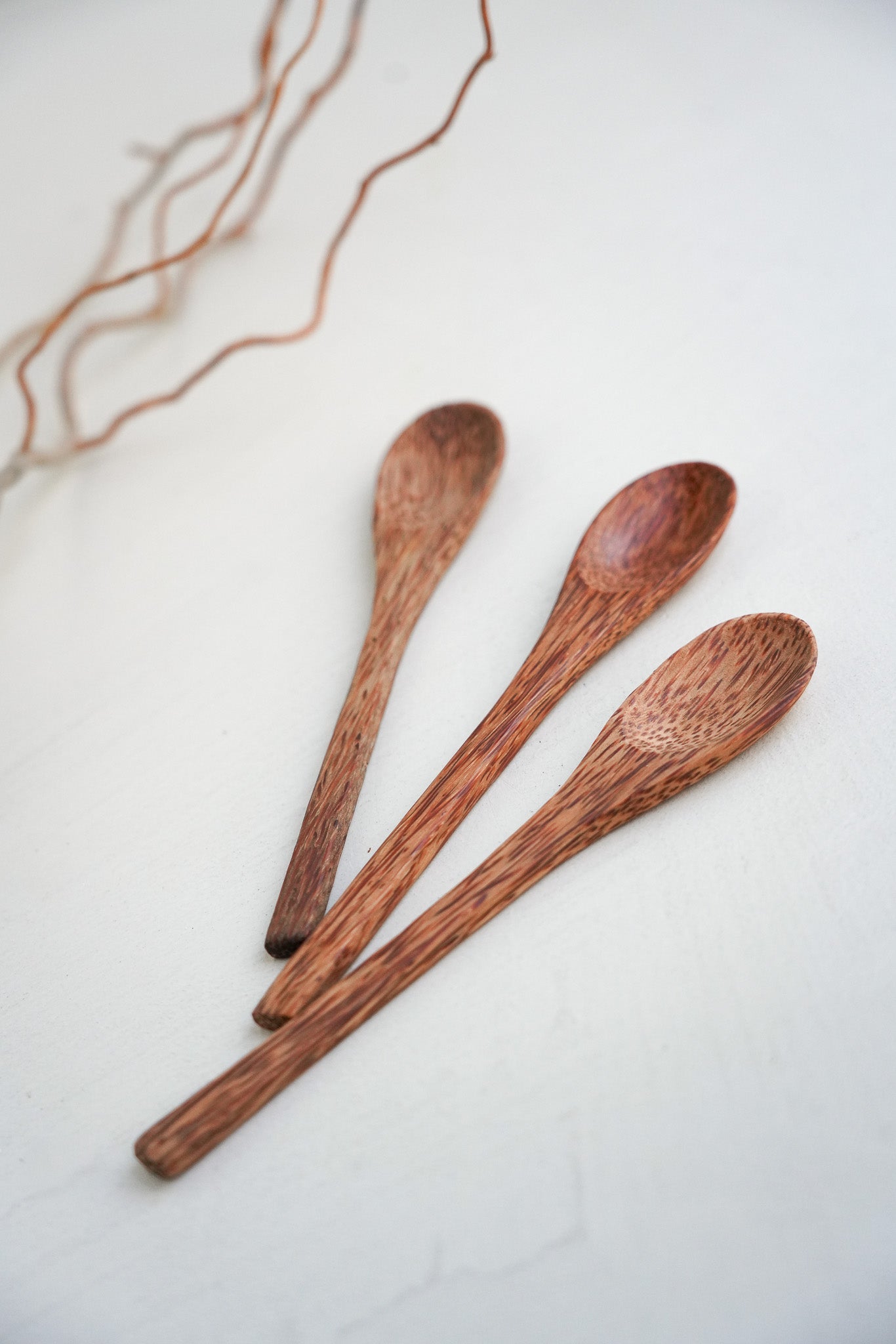 Coconut Shell Spoon