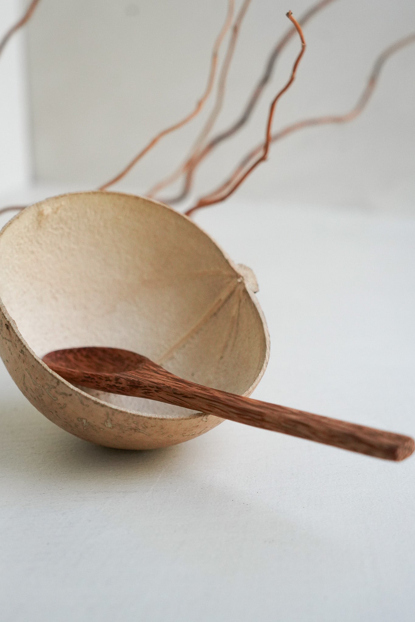 Coconut Shell Spoon