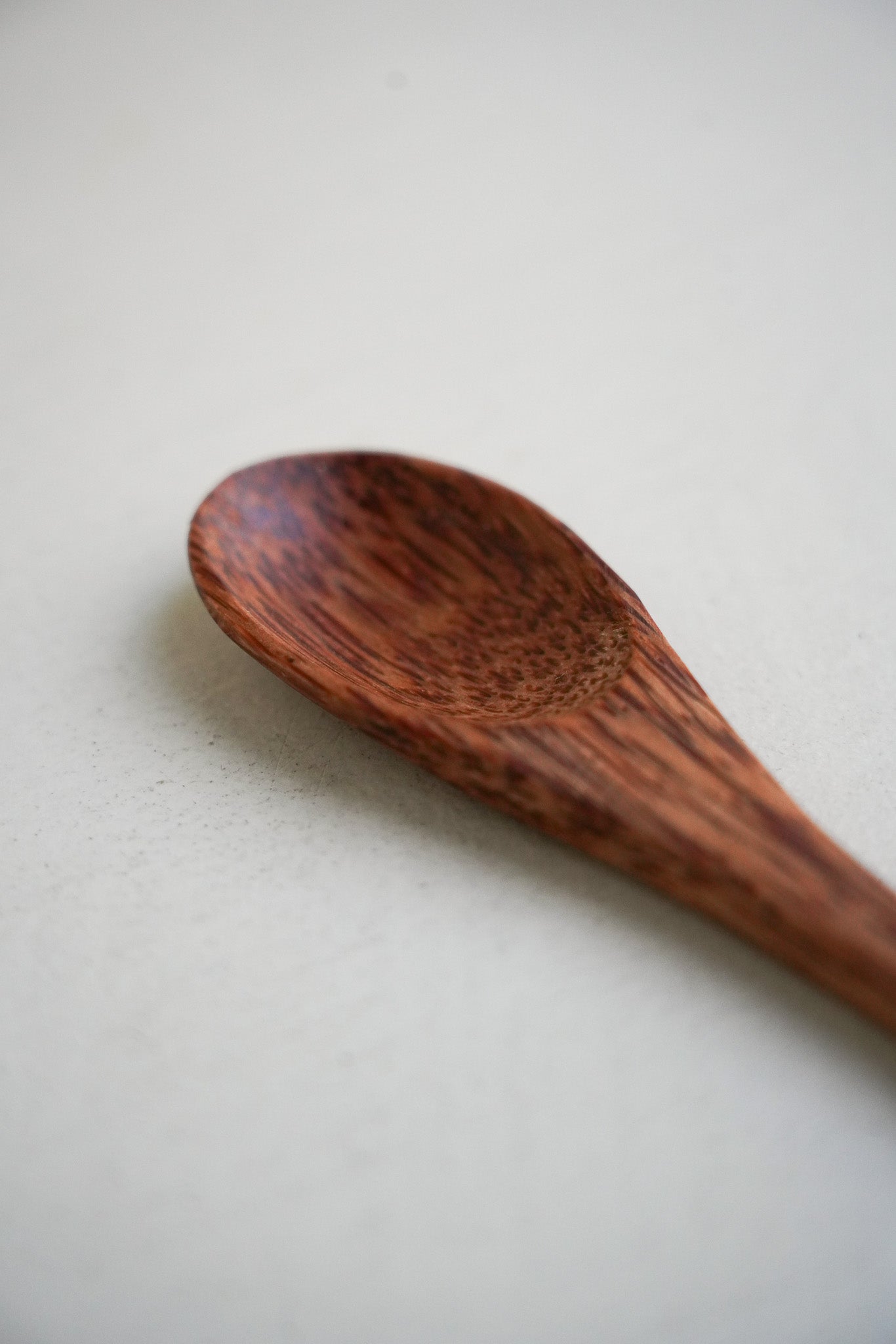 Coconut Shell Spoon