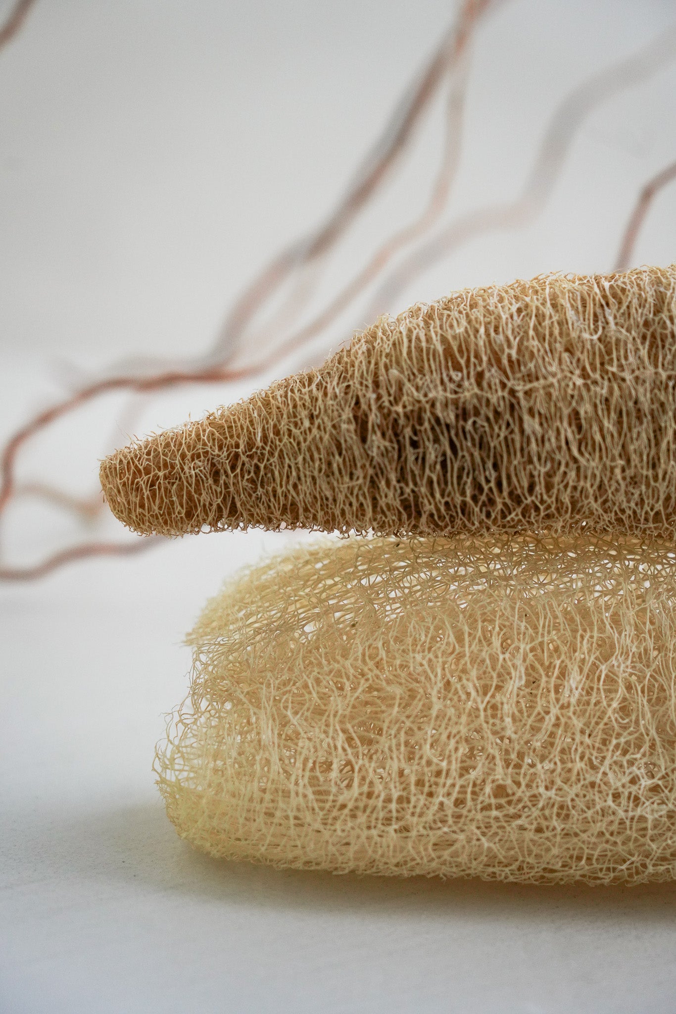 Loofah Bath Sponge