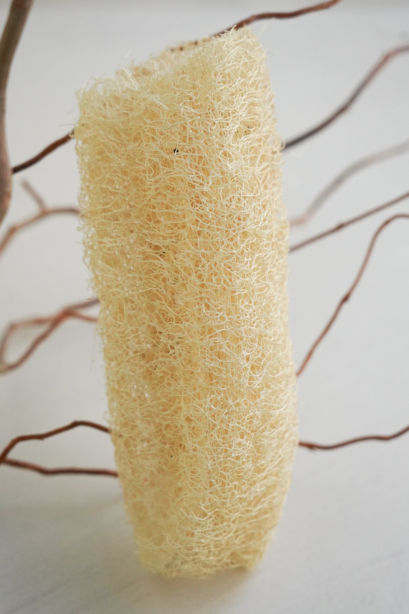 Loofah Bath Sponge