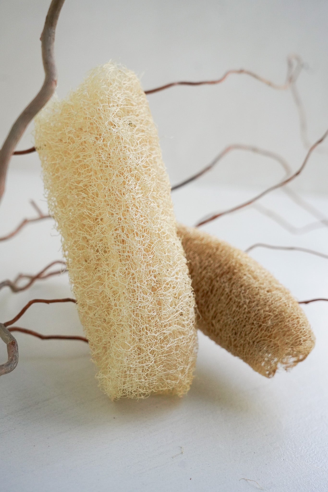 Loofah Bath Sponge