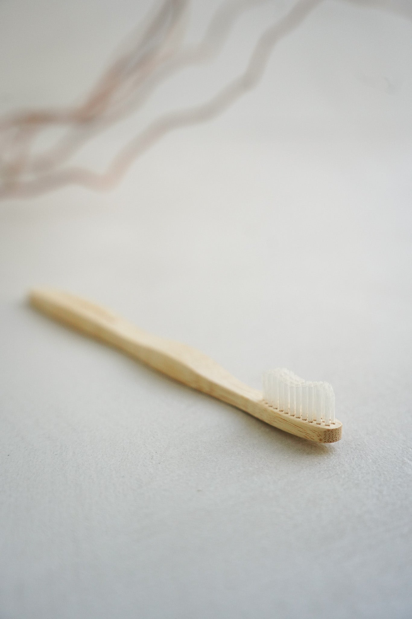 Bamboo Biodegrable Toothbrush