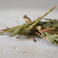 Eastern White Cedar Leaf Tea