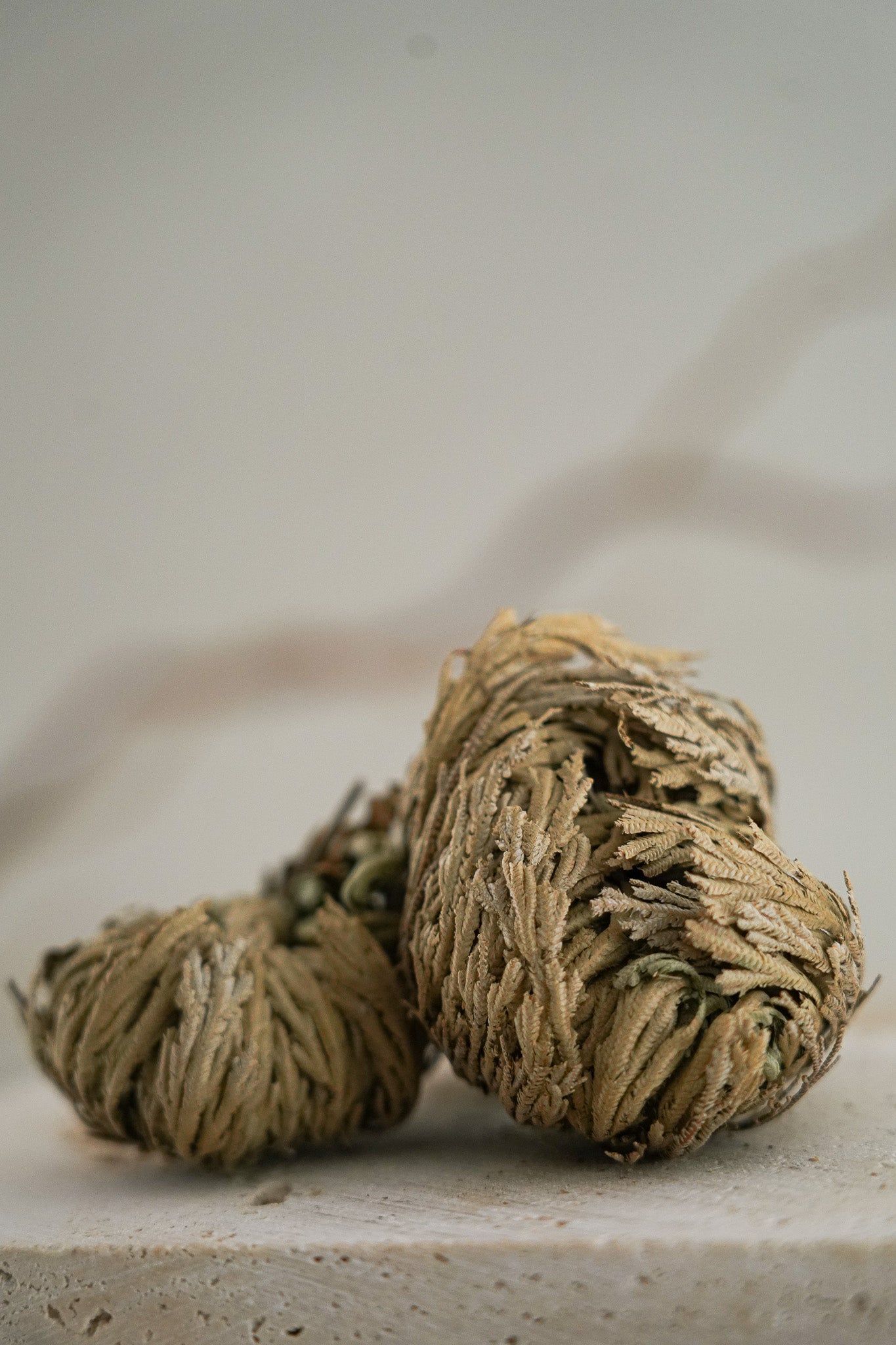 Rose of Jericho Tea