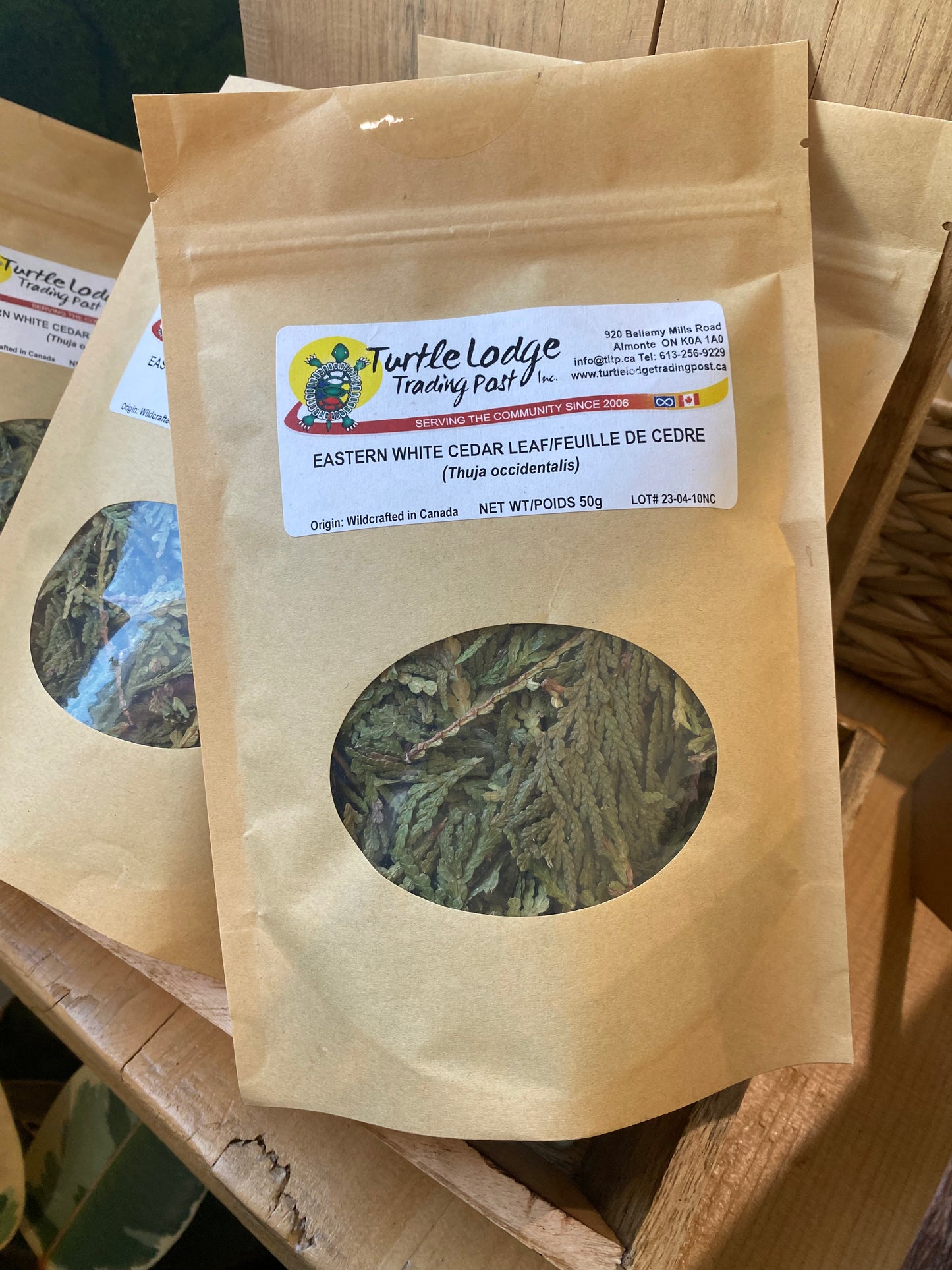 Eastern White Cedar Leaf Tea