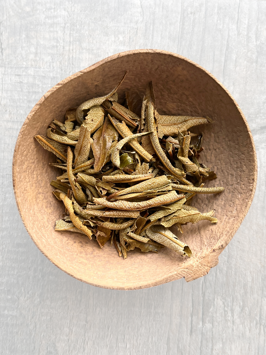 Yerba Santa Tea