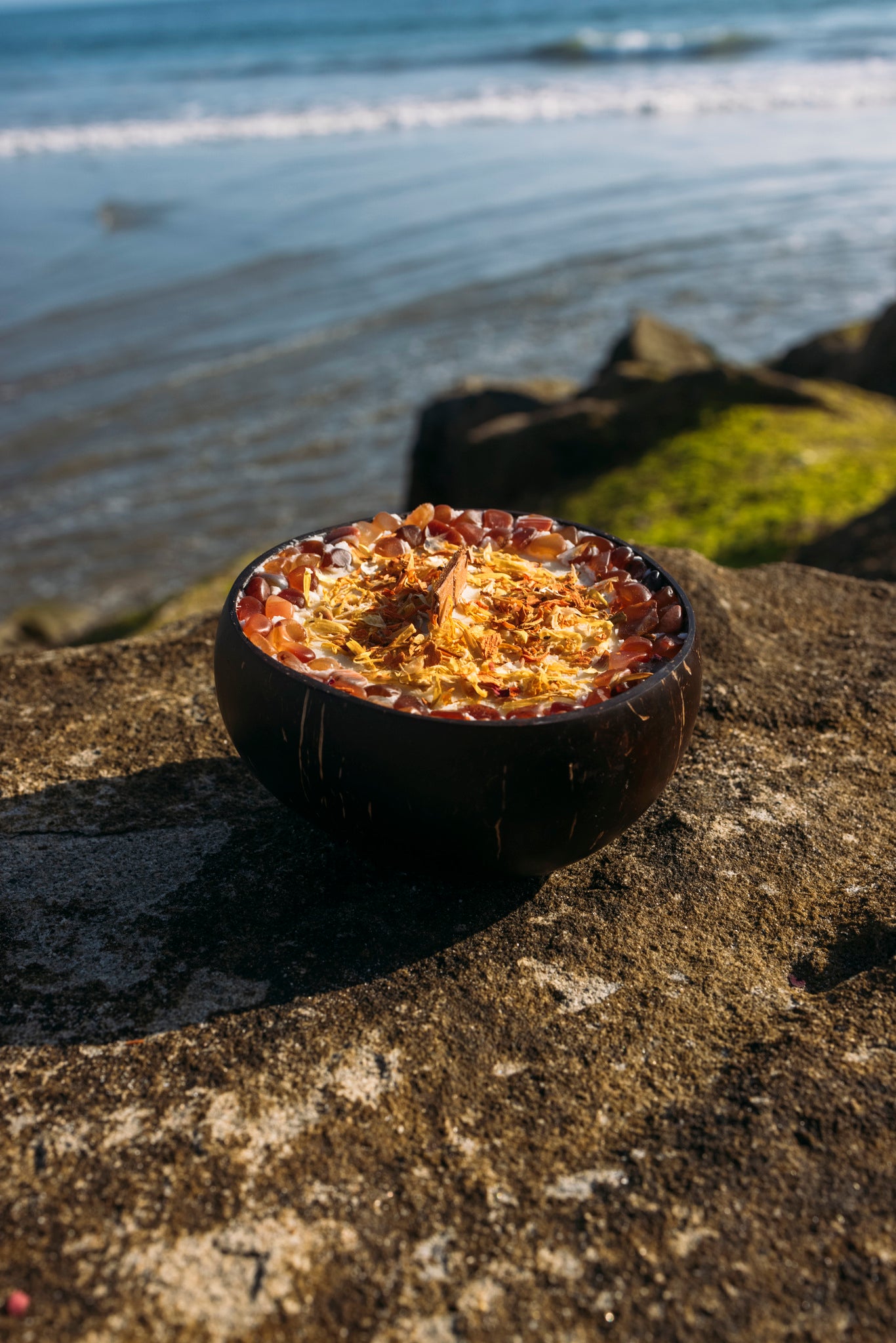 Orange Shea Butter Coconut Candle