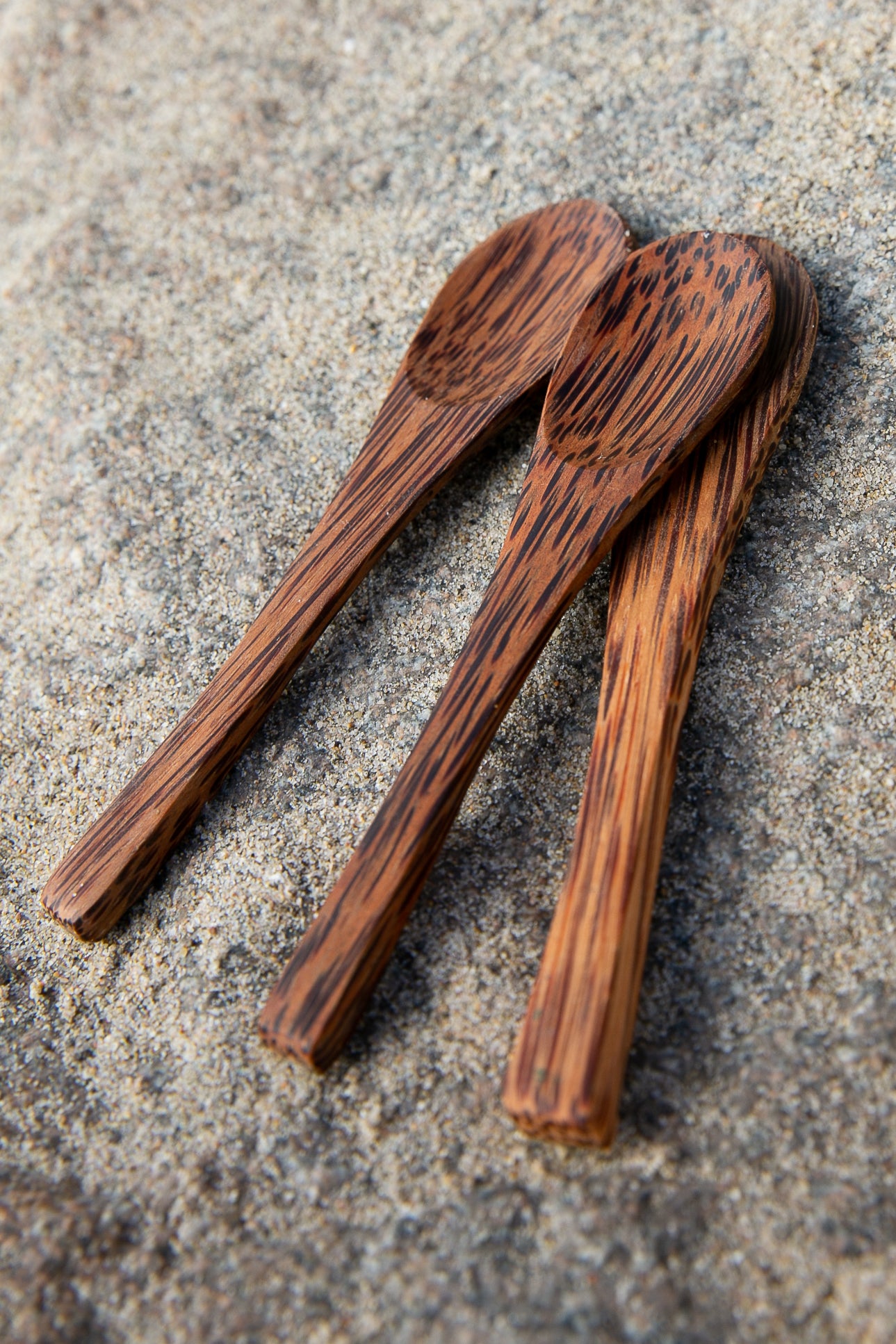 Coconut Shell Spoon