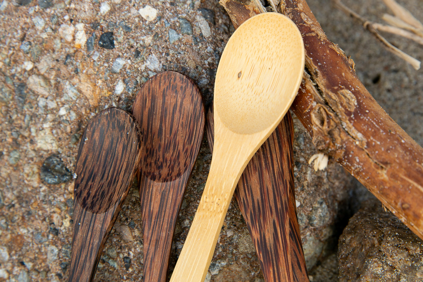 Coconut Shell Spoon