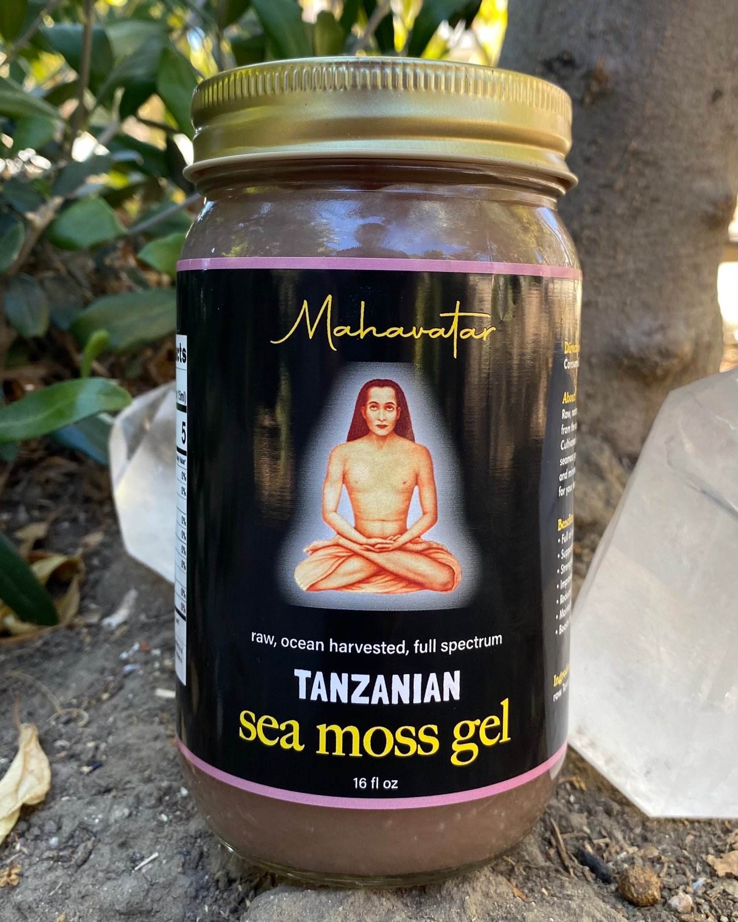 Tanzanian Sea Moss Gel - 16oz